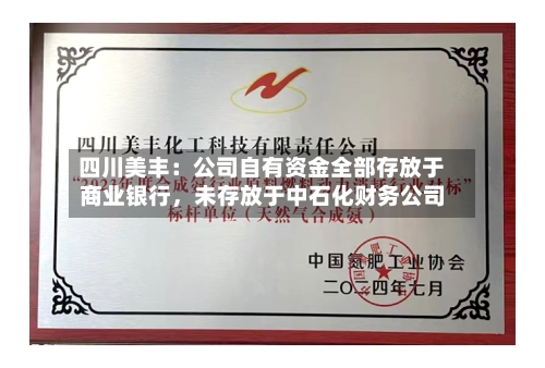 四川美丰：公司自有资金全部存放于商业银行，未存放于中石化财务公司-第2张图片