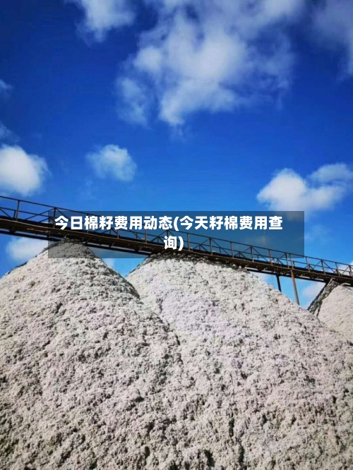 今日棉籽费用动态(今天籽棉费用查询)-第2张图片