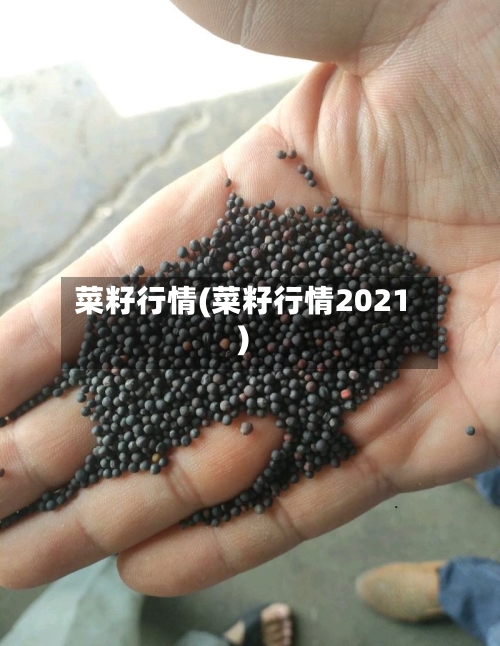 菜籽行情(菜籽行情2021)