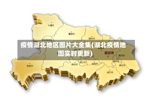 疫情湖北地区图片大全集(湖北疫情地图实时更新)