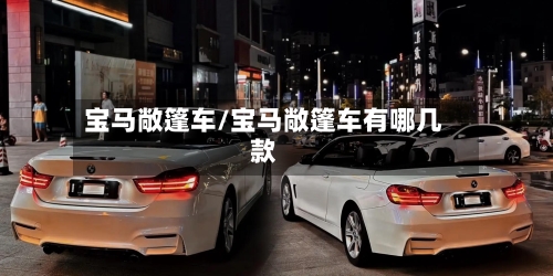 宝马敞篷车/宝马敞篷车有哪几款-第2张图片