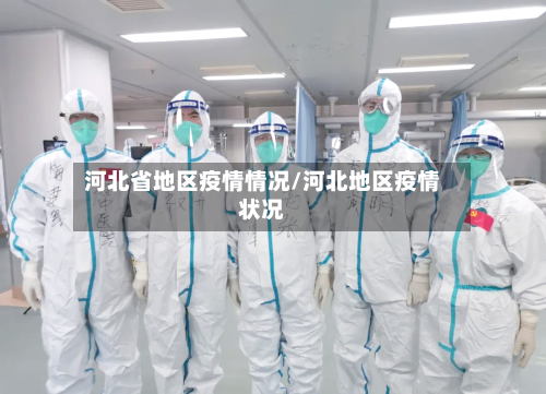 河北省地区疫情情况/河北地区疫情状况