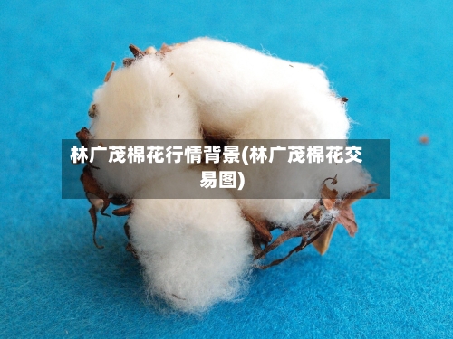 林广茂棉花行情背景(林广茂棉花交易图)-第2张图片