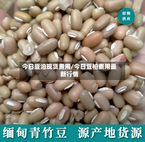 今日豆泊现货费用/今日豆柏费用最新行情-第3张图片