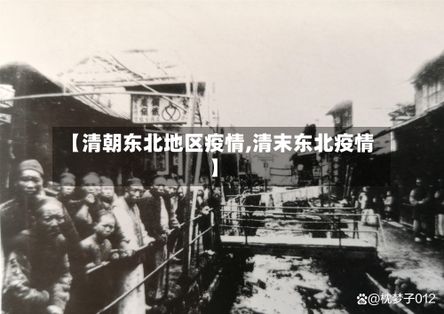 【清朝东北地区疫情,清末东北疫情】