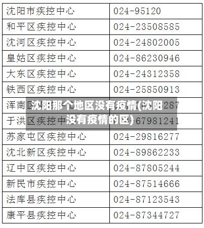 沈阳那个地区没有疫情(沈阳没有疫情的区)-第3张图片