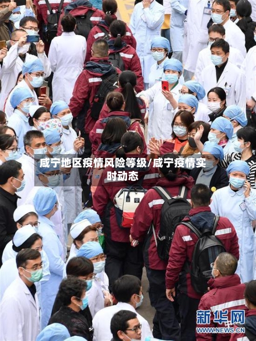 咸宁地区疫情风险等级/咸宁疫情实时动态-第2张图片
