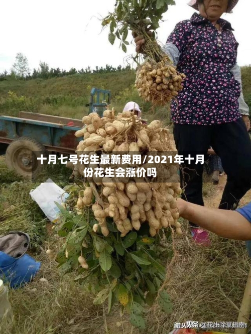 十月七号花生最新费用/2021年十月份花生会涨价吗