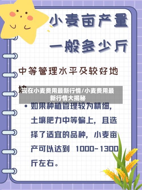现在小麦费用最新行情/小麦费用最新行情大揭秘-第2张图片