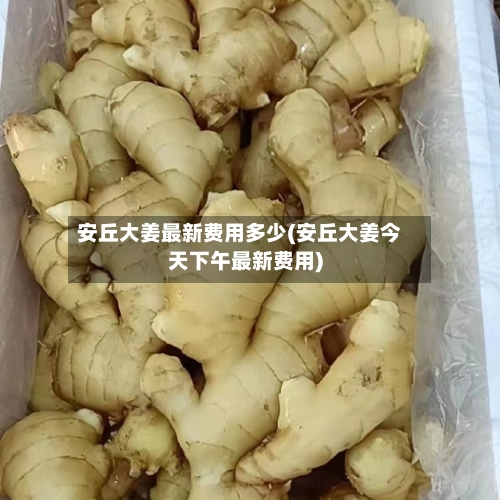 安丘大姜最新费用多少(安丘大姜今天下午最新费用)-第2张图片