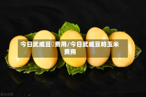 今日武威豆粨费用/今日武威豆粕玉米费用-第2张图片