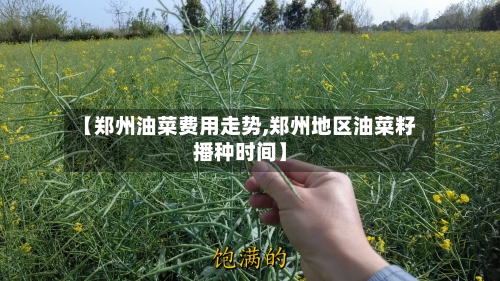 【郑州油菜费用走势,郑州地区油菜籽播种时间】-第2张图片