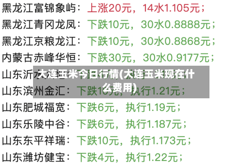 大连玉米今日行情(大连玉米现在什么费用)