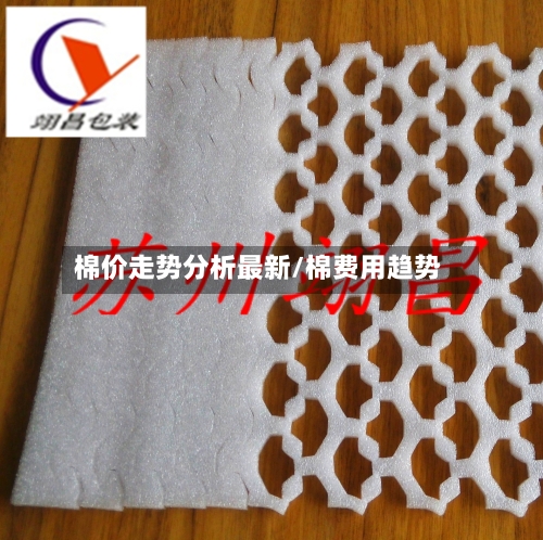 棉价走势分析最新/棉费用趋势-第3张图片