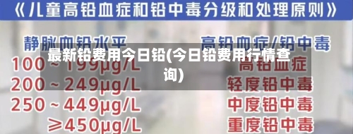 最新铅费用今日铅(今日铅费用行情查询)-第2张图片