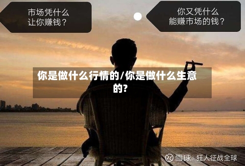 你是做什么行情的/你是做什么生意的?