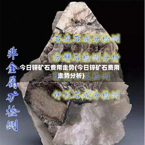 今日锌矿石费用走势(今日锌矿石费用走势分析)