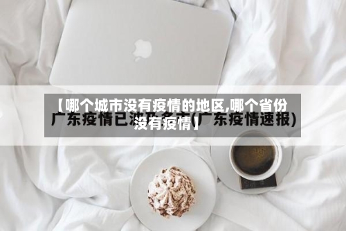 【哪个城市没有疫情的地区,哪个省份没有疫情】