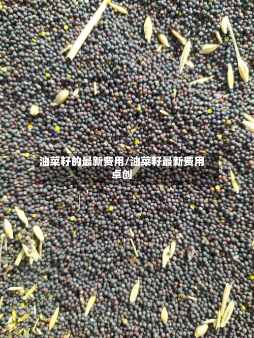 油菜籽的最新费用/油菜籽最新费用卓创