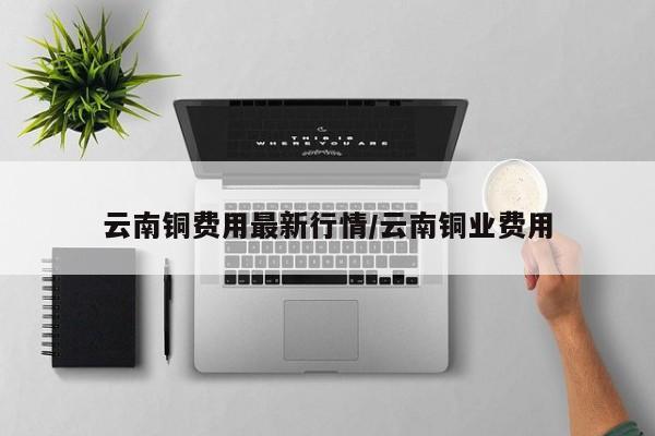 云南铜费用最新行情/云南铜业费用