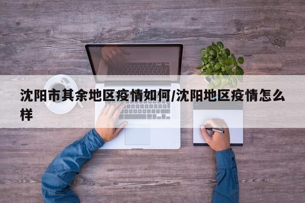 沈阳市其余地区疫情如何/沈阳地区疫情怎么样