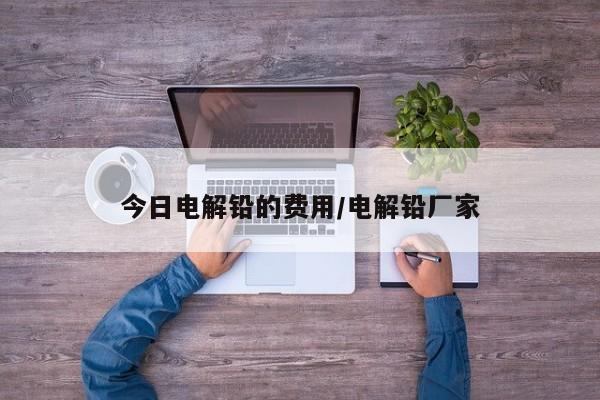 今日电解铅的费用/电解铅厂家