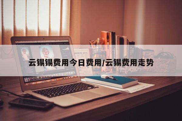 云锡锡费用今日费用/云锡费用走势