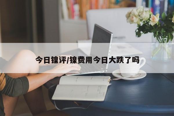 今日镍评/镍费用今日大跌了吗